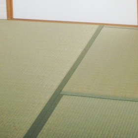 カビ・キズ保証特約